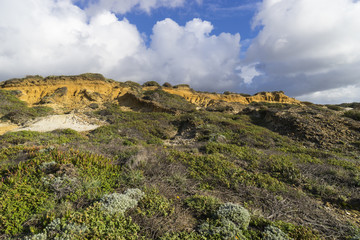 Felsküste am Atlantik im Parque Natural do Sudoeste Alentejano e Costa Vicentina, Algarve, Portugal, Europa