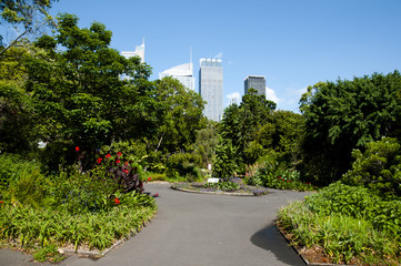 Naklejka premium Botanical Garden - Sydney - Australia