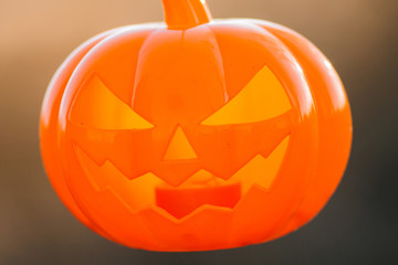 The skull of a witch and orange gourd. Ornaments for Halloween. Feast of autumn, All Saints Day