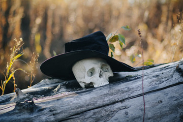 The skull of a witch. Skeleton in a black hat. Attribute for Halloween