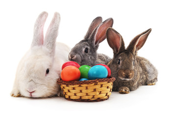 Easter bunnies with colored eggs.