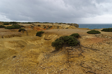 Felsküste am Atlantik im Parque Natural do Sudoeste Alentejano e Costa Vicentina, Algarve, Portugal, Europa