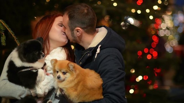 Young Couple with Caucasian Appearance Having Fun with the Couple of Dogs. Lights and Christmass Tree is On Background.
