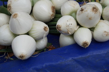 White onions on the market.
