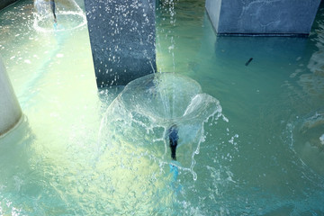The fountain on the lake in the park. Fountain in the