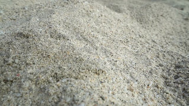 female hand pick up dry leaf from the sand, concept ecology, green earth disaster destroyed, global warming, dry drought, pollution, woman find last hope, change climate arid landscape desert