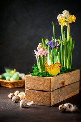 Spring flowers and quail eggs