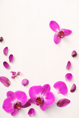 Naklejka na ściany i meble beautiful orchids on white background