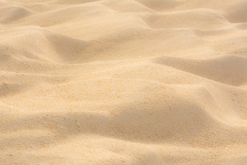 Sand beach brown color backgrounds