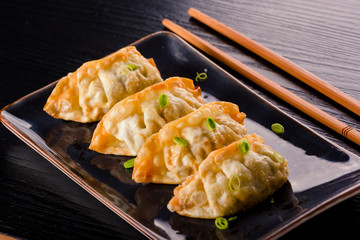 Japanese Fried Gyoza