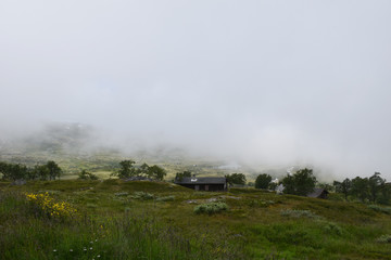 Fototapeta na wymiar Fog Foggy Nature Landscape Mountain