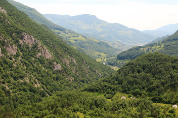 Fototapeta na wymiar Biogradska gora, National Park, Montenegro 