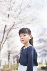桜と女の子