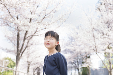 桜と女の子