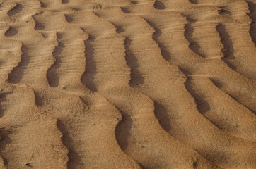 Sand dunes with wind pattern in Wahiba sands desert