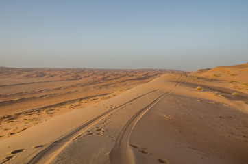 Fototapeta na wymiar Tyre tracks in sand in evening sunlight in Wahiba Sands desert in Oman