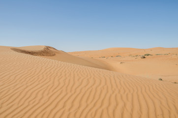 Fototapeta na wymiar Sand dunes with wind pattern in Wahiba sands desert