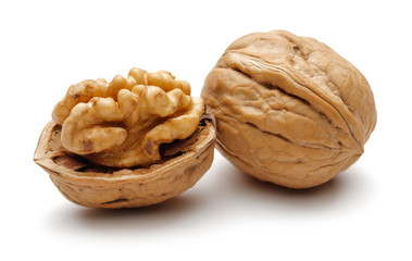 Walnut