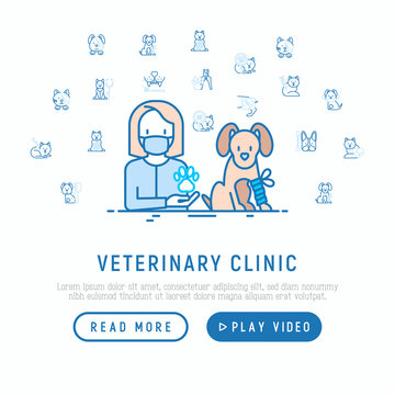 Veterinary clinic concept: doctor and dog with broken leg. Thin line icons: protective collar, injection, cardiology, cleaning of ears, shearing claws. Vector illustration, web page template.