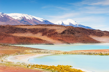 High-altitude lagoon on plateau Altiplano, Bolivia