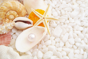 Seashells and pearl on shell with many white stones 