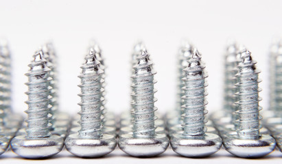 Set of screws on the white background.