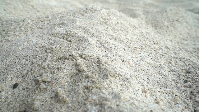 female hand pick up dry leaf from the sand, concept ecology, green earth disaster destroyed, global warming, dry drought, pollution, woman find last hope, change climate arid landscape desert