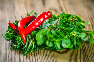 Bunches of fresh herbs thyme, salad and rosemary, red chili peppers on wooden board