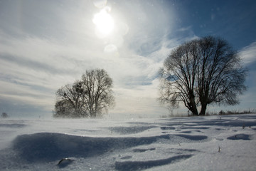 Obraz na płótnie Canvas Snowstorm in the sunshine