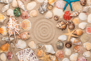 Circle made of sand, frame of seashells and stars. With space for the designer.
