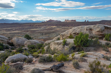 Salt Valley and La Sal mountains in the morning from Fiery Furnace overlook Arches National Park, Moab, Utah