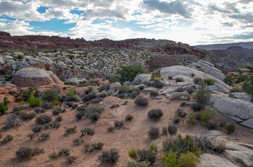 Fototapeta na wymiar Salt Valley and rocks of Fiery Furnace in the morning from Arches Scenic Drive Arches National Park, Moab, Utah