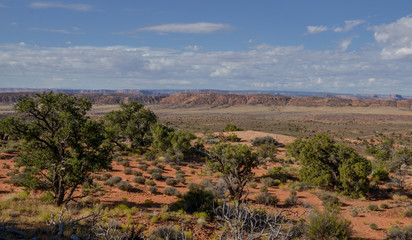 Salt Valley and surrounding mountains in the morning from Devils Garden road Arches National Park, Moab, Utah