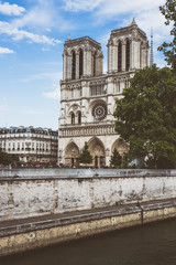 Fototapeta na wymiar Cathedral of Notre Dame in Paris
