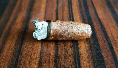 Cuban cigar
