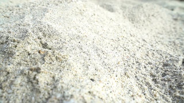 female hand pick up dry leaf from the sand, concept ecology, green earth disaster destroyed, global warming, dry drought, pollution, woman find last hope, change climate arid landscape desert
