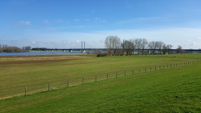 Rheinbr&uuml;cke bei Rees/Niederrhein