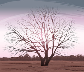 Vector illustration tree. Landscape oak without leaves