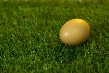 Eggs are placed on artificial grass.