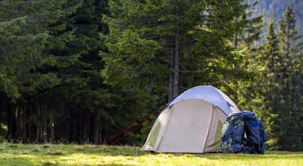 Tourist camp on green meadow with fresh grass in Carpathian mountains forest. Hikers tent and...