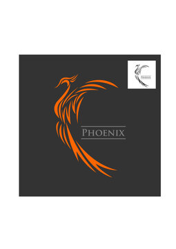 Phoenix The Bird Of Heaven