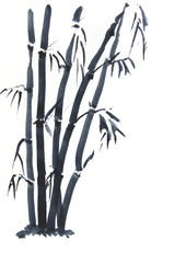 Black bamboo on white background, watercolor painting