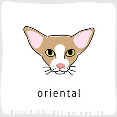 Cat breed collection : Vector Illustration