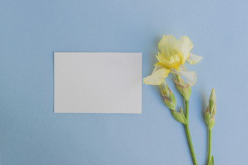 Mockup white greeting card