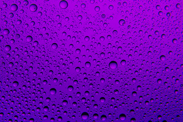 Purple water drops on glass. Background.