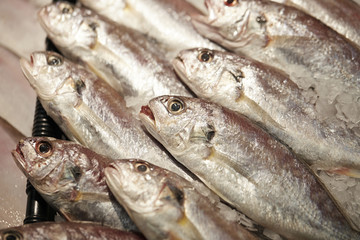 fresh fish on ice
