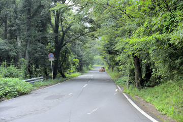 山道をドライブ