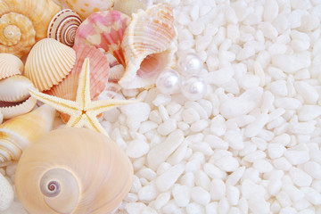 Seashells, starfish and pearls on white stones background