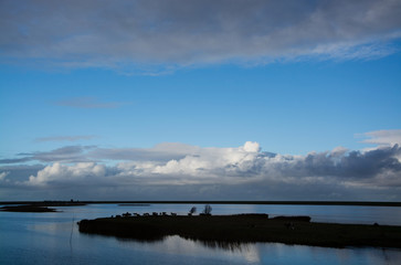 Fototapeta premium Deich bei Greetsiel, Niedersachsen, Deutschland