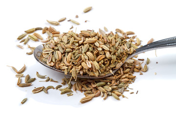 Seeds of fennel in a spoonful